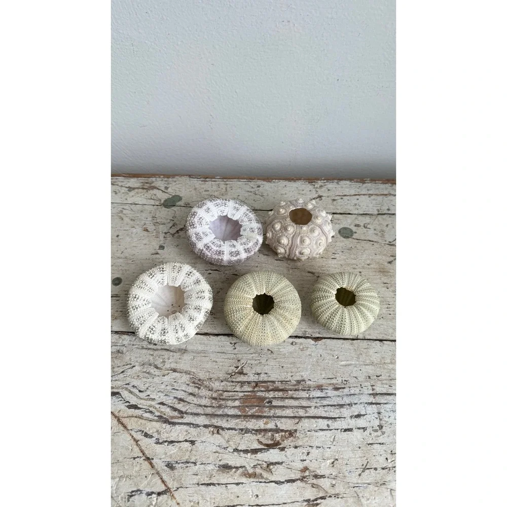 Unbranded set natural